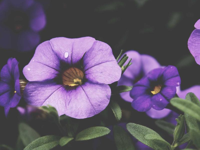 sudoku weekly challenge screenshot 5