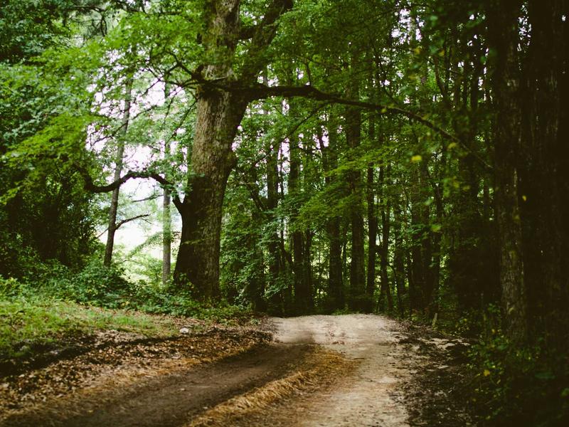 sudoku weekly challenge screenshot 1